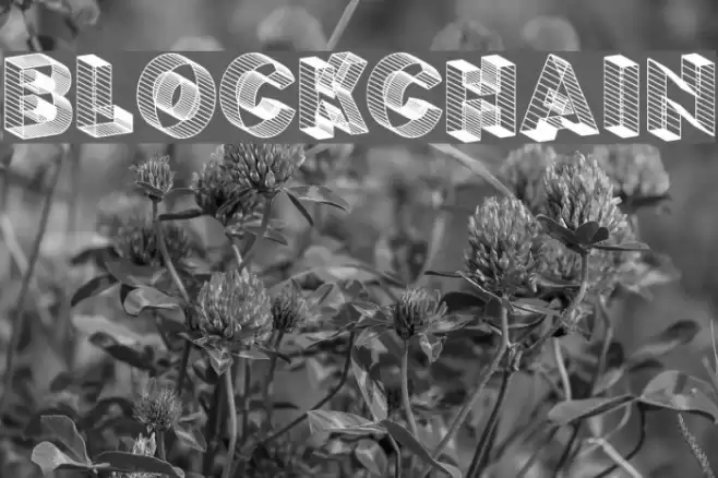 BLOCKCHAIN Font examples
