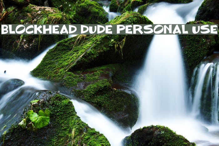 BLOCKHEAD DUDE Personal Use Font examples