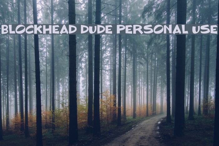 BLOCKHEAD DUDE Personal Use Font examples