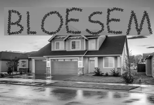 BLOESEM Font examples