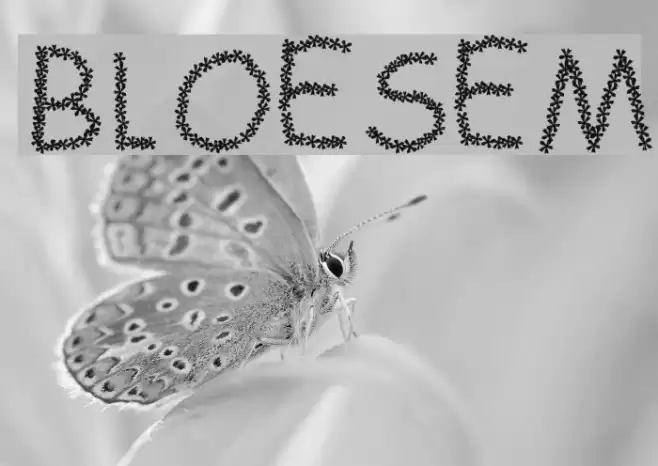 BLOESEM Font examples