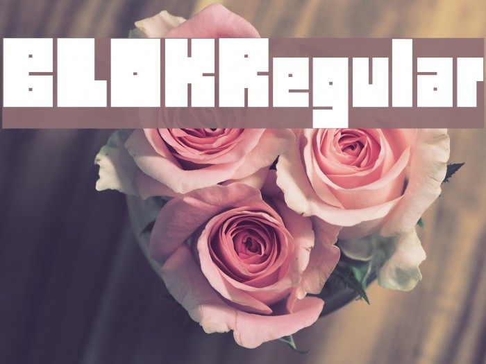 BLOKRegular Font examples