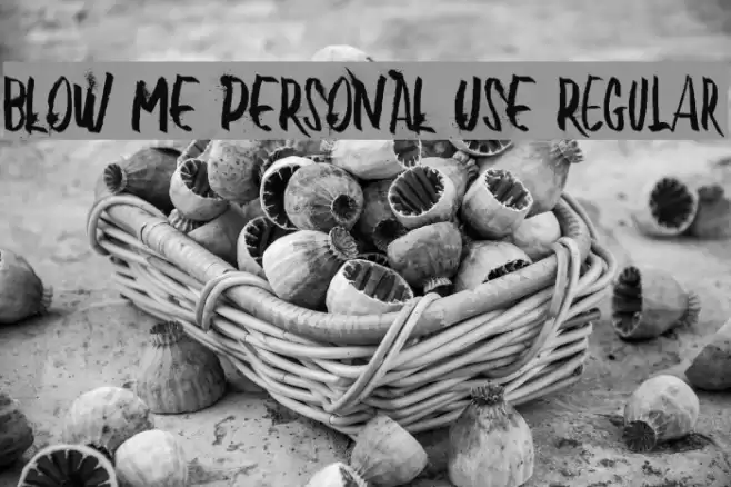 BLOW ME PERSONAL USE Regular Font examples