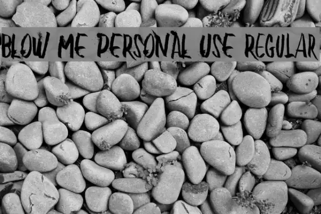 BLOW ME PERSONAL USE Regular Font examples