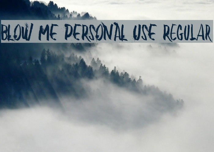 BLOW ME PERSONAL USE Regular Example 3