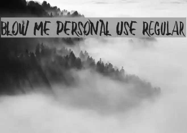 BLOW ME PERSONAL USE Regular Font examples