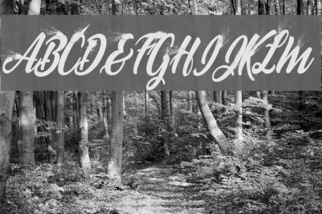 BLOWUP PERSONAL USE Regular Font examples