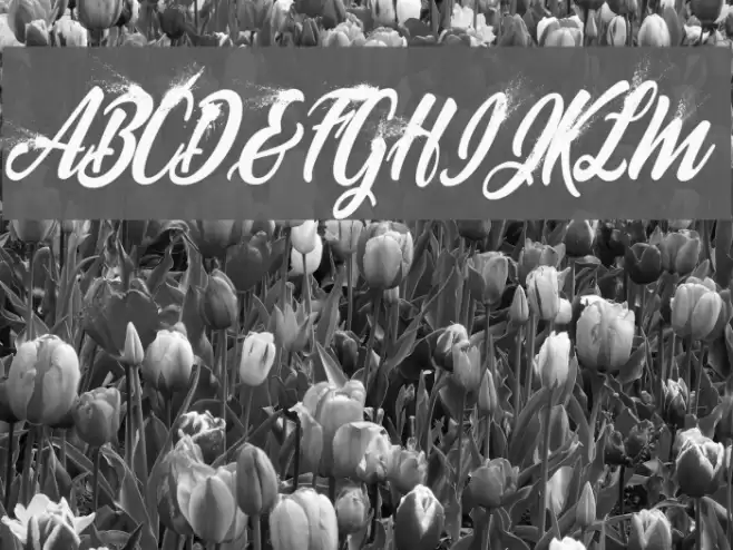 BLOWUP PERSONAL USE Regular Font examples