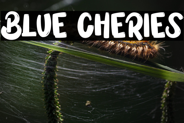 BLUE CHERIES Example 3