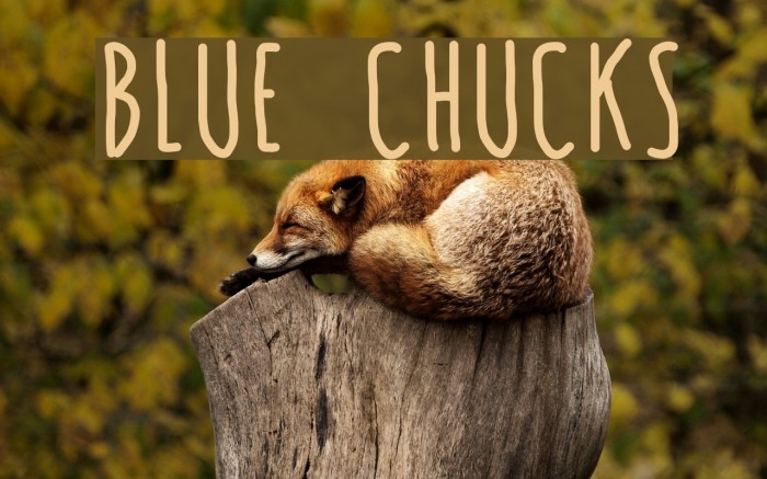 BLUE CHUCKS Font examples