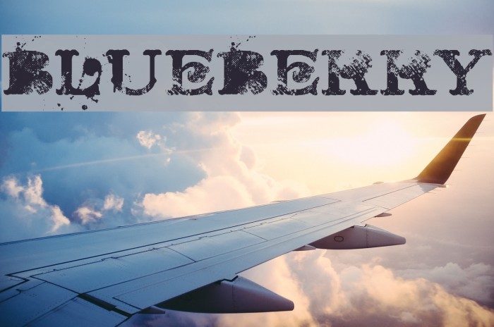 BLUEBERRY Font examples