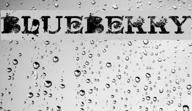 BLUEBERRY Font examples