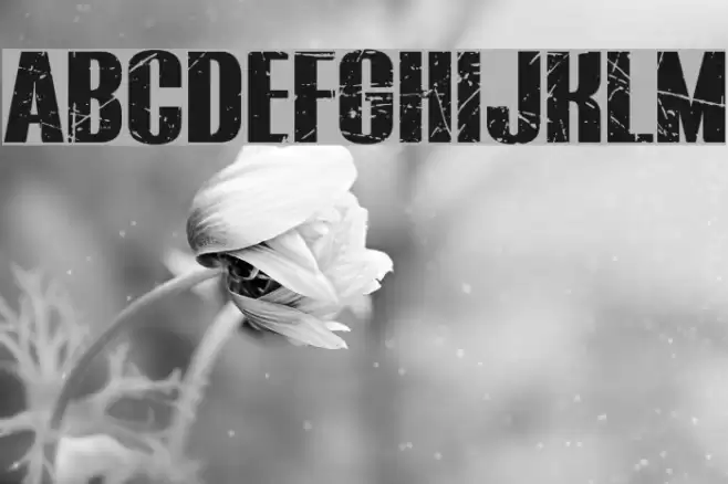 BLUEFISH BLACK SCRATCHED Demo Font examples