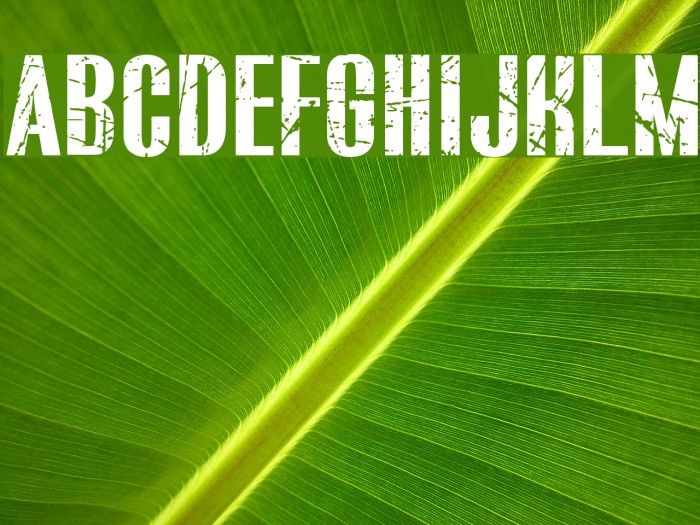 BLUEFISH SCRATCHED Demo Font examples