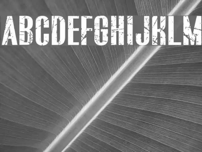 BLUEFISH SCRATCHED Demo Font examples