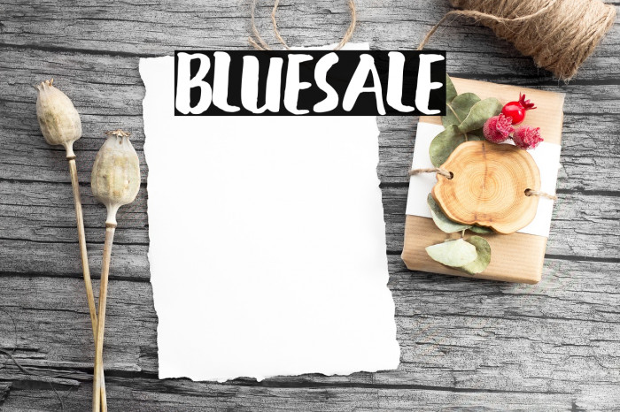 BLUESALE Font examples