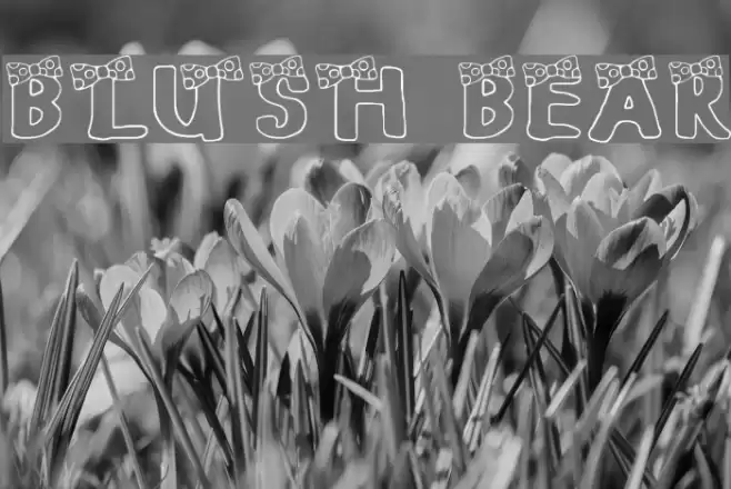 BLUSH BEAR フォント examples