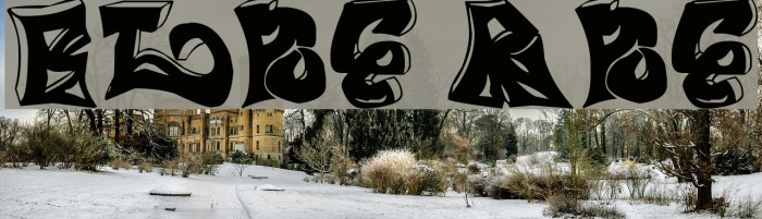 BLiNG RiNG Example 2