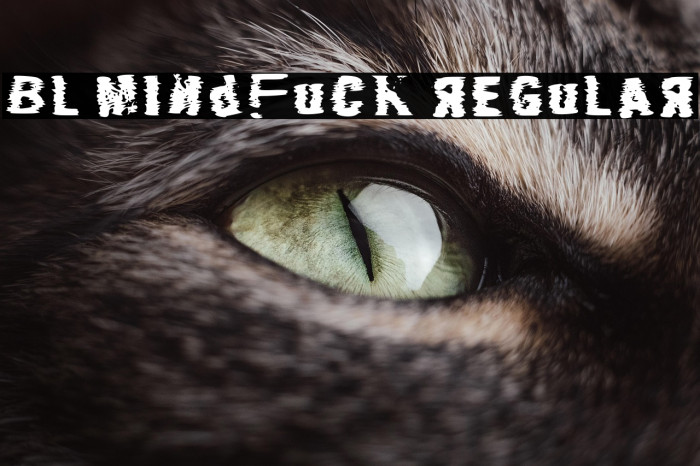 Bl Mindfuck Regular Example 1