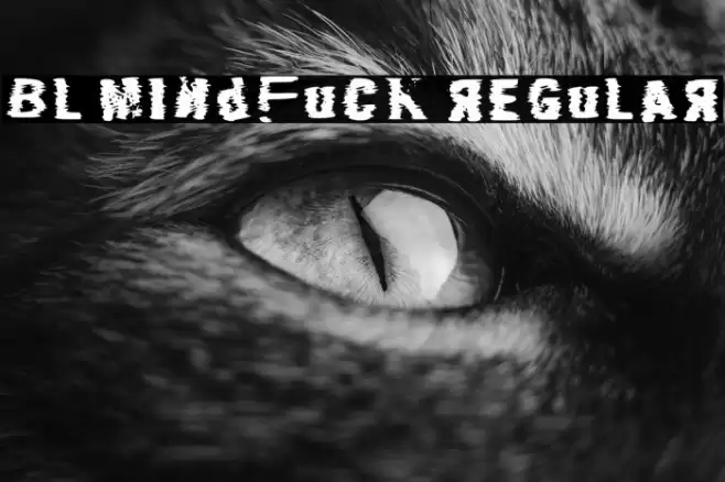 Bl Mindfuck Regular Polices examples