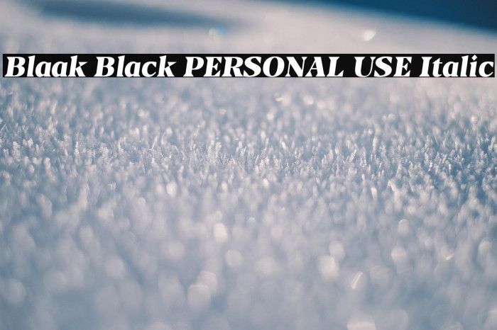 Blaak Black PERSONAL USE Italic Example 2