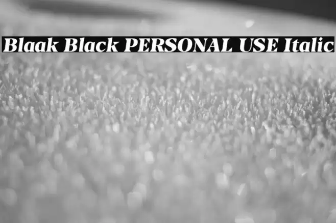 Blaak Black PERSONAL USE Italic Font examples