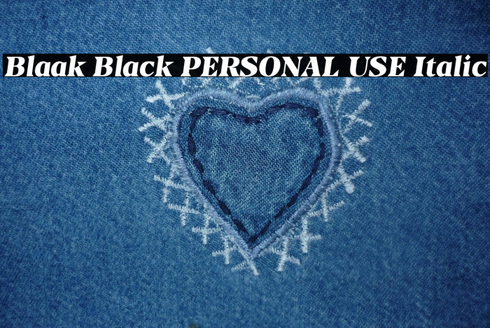 Blaak Black PERSONAL USE Italic Example 3