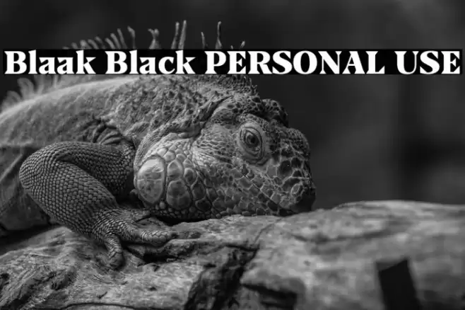 Blaak Black PERSONAL USE Font examples
