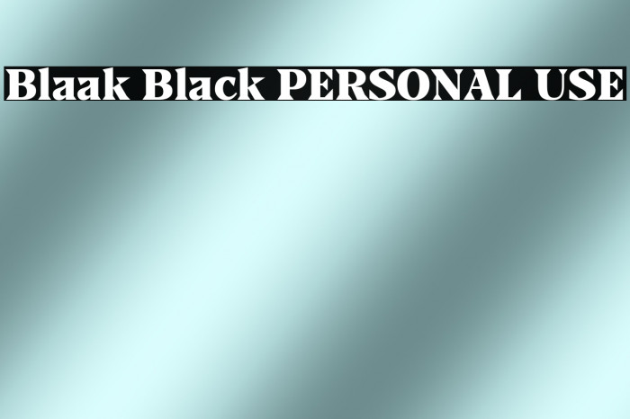 Blaak Black PERSONAL USE Example 2
