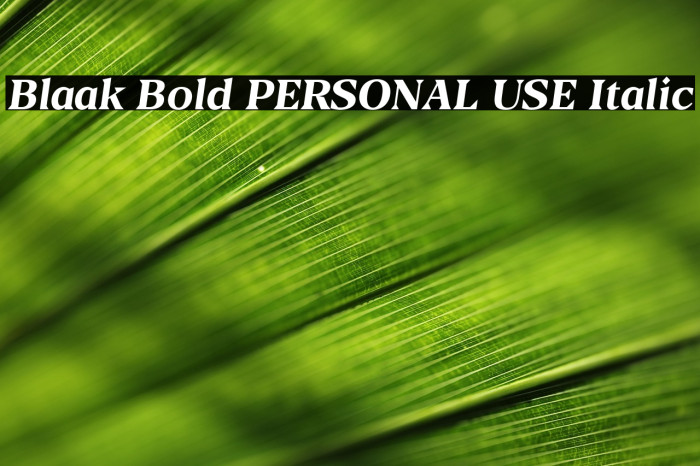 Blaak Bold PERSONAL USE Italic Example 1