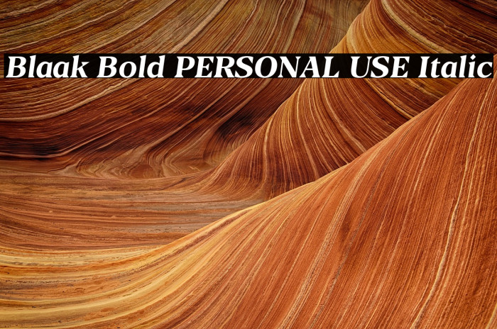 Blaak Bold PERSONAL USE Italic Example 3