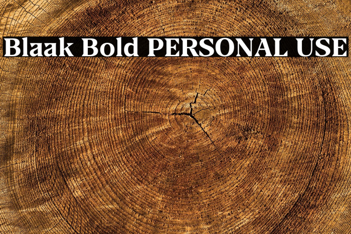Blaak Bold PERSONAL USE Example 1