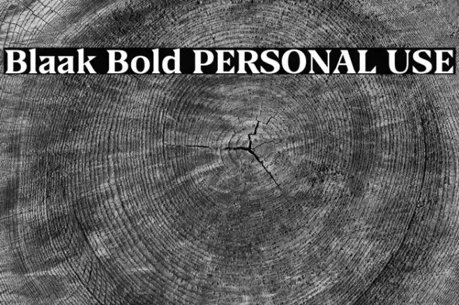 Blaak Bold PERSONAL USE Font examples