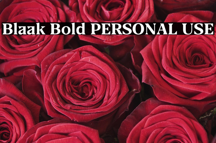 Blaak Bold PERSONAL USE Example 2