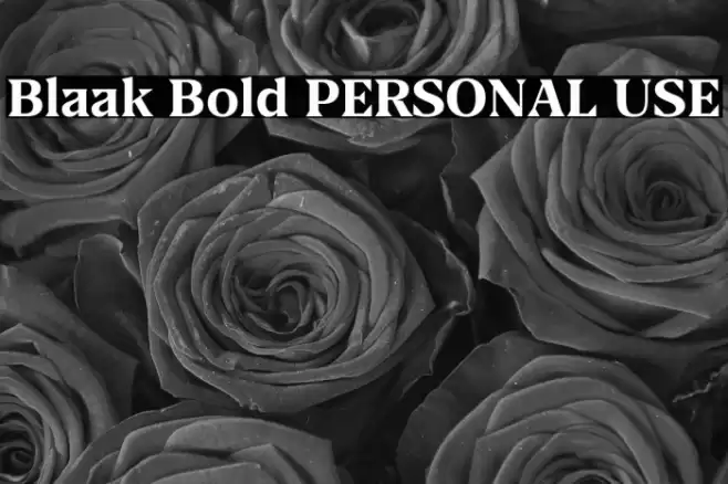 Blaak Bold PERSONAL USE Font examples
