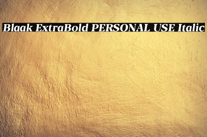 Blaak ExtraBold PERSONAL USE Italic Example 1