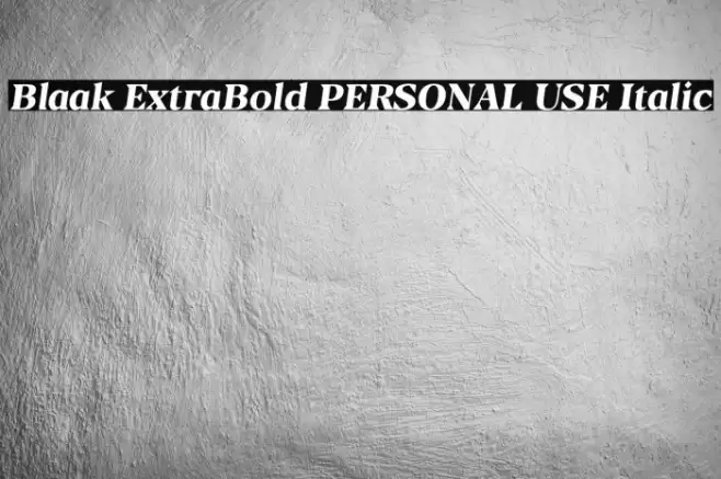 Blaak ExtraBold PERSONAL USE Italic Font examples