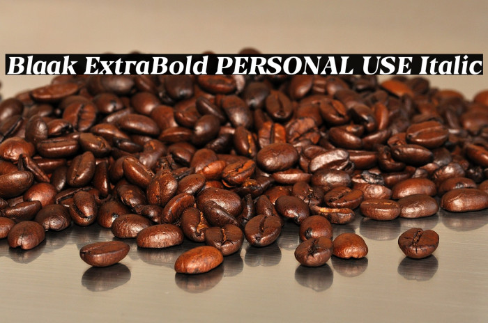Blaak ExtraBold PERSONAL USE Italic Example 2