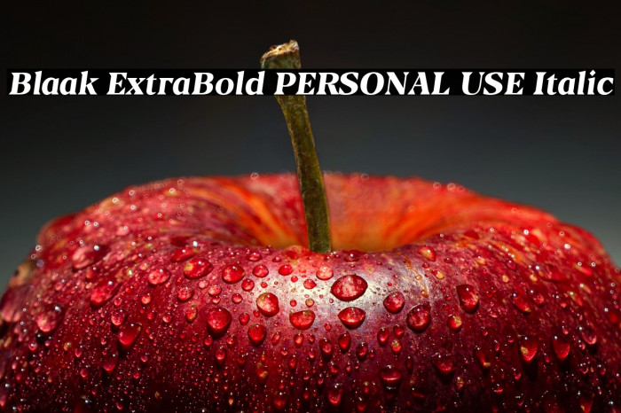 Blaak ExtraBold PERSONAL USE Italic Example 3