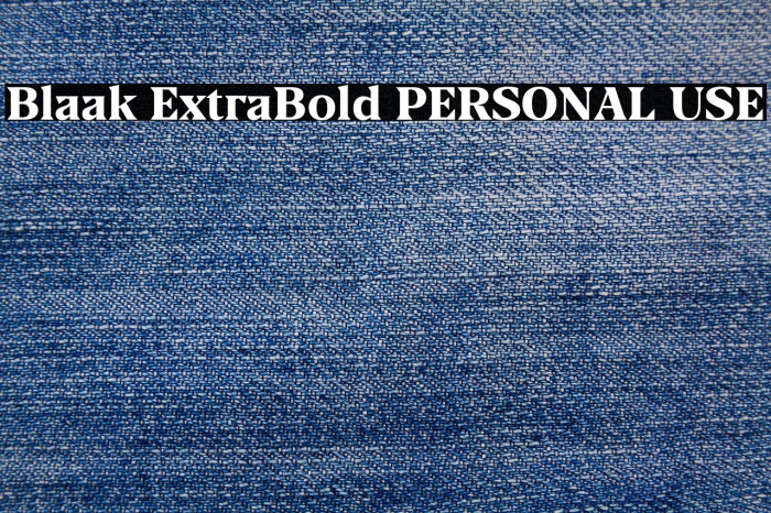 Blaak ExtraBold PERSONAL USE Example 3