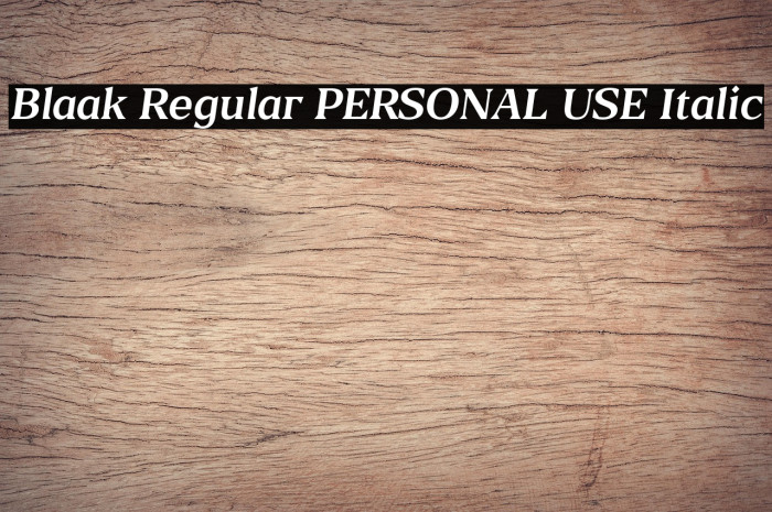Blaak Regular PERSONAL USE Italic Example 2