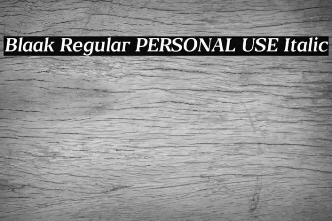 Blaak Regular PERSONAL USE Italic Font examples