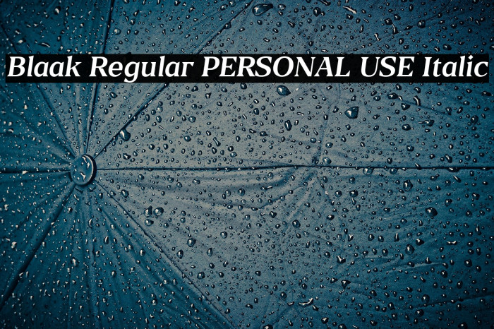 Blaak Regular PERSONAL USE Italic Example 3