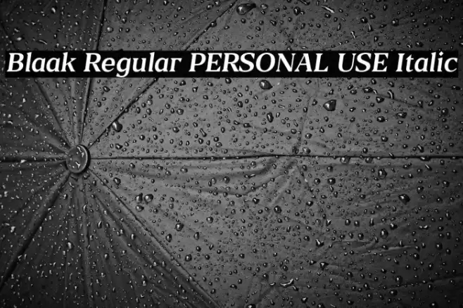 Blaak Regular PERSONAL USE Italic Font examples