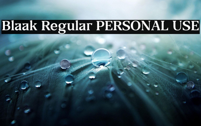 Blaak Regular PERSONAL USE Example 2
