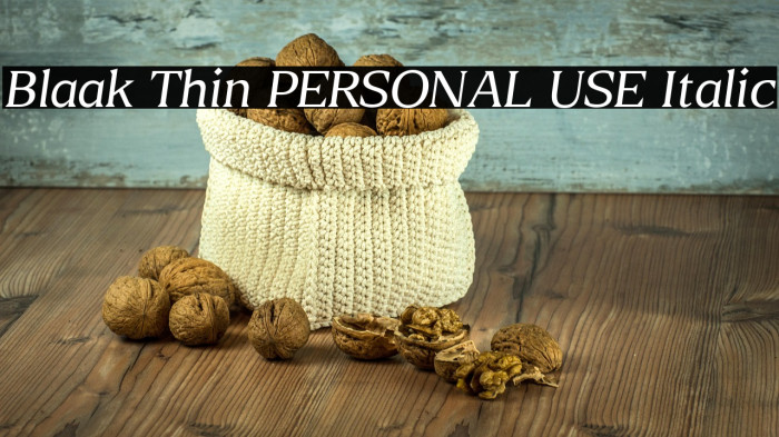 Blaak Thin PERSONAL USE Italic Example 1