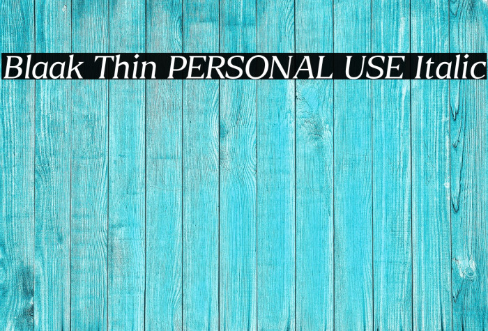 Blaak Thin PERSONAL USE Italic Example 2