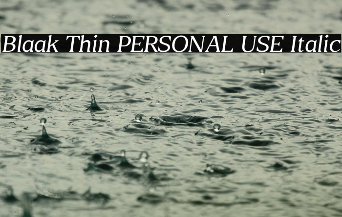 Blaak Thin PERSONAL USE Italic Example 3