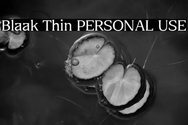 Blaak Thin PERSONAL USE Font examples