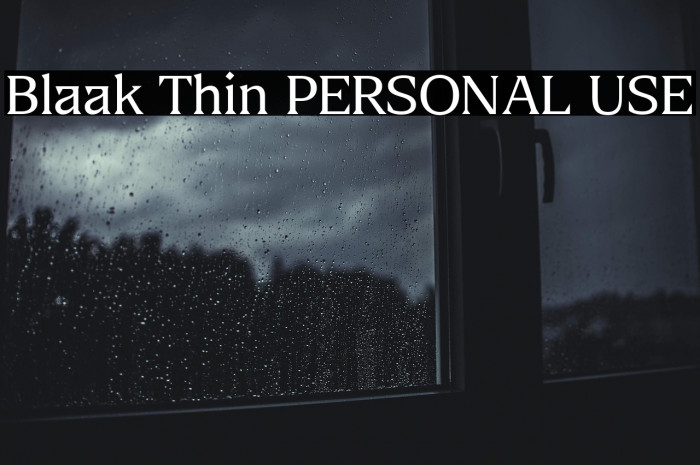 Blaak Thin PERSONAL USE Example 3